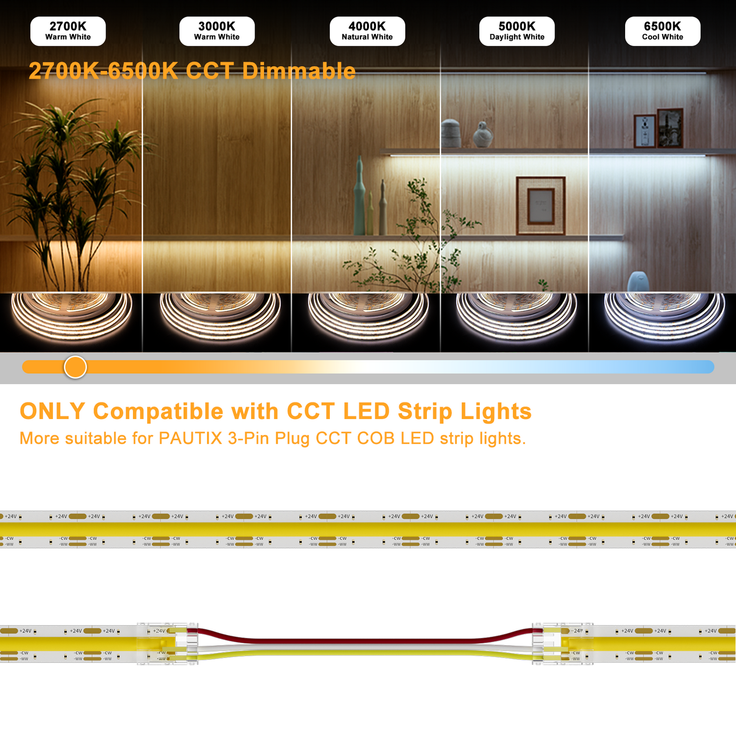 PAUTIX CCT LED Controller Kit SP642E,App Control 2.4G RF Wireless Remote Control